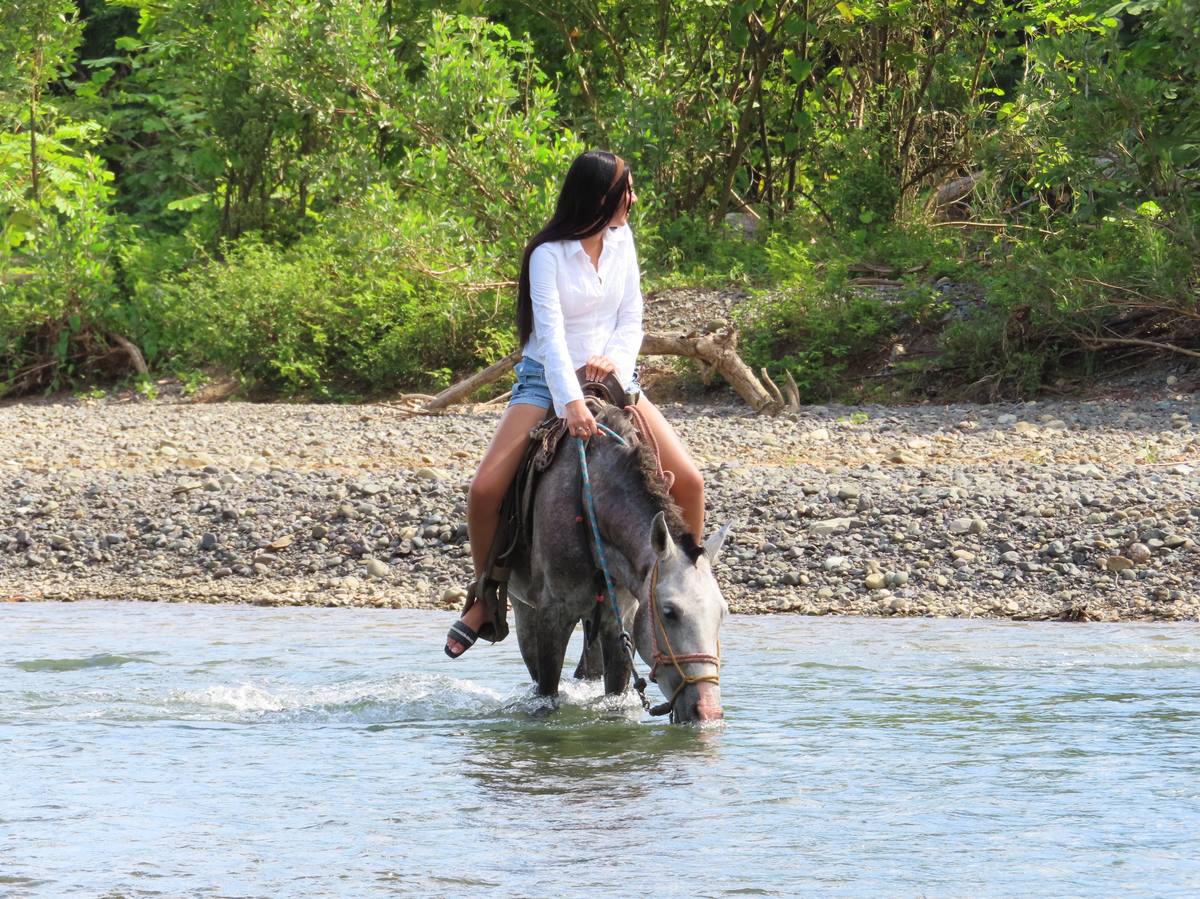 Horseback adventure through tropical forest at Finca Tulin