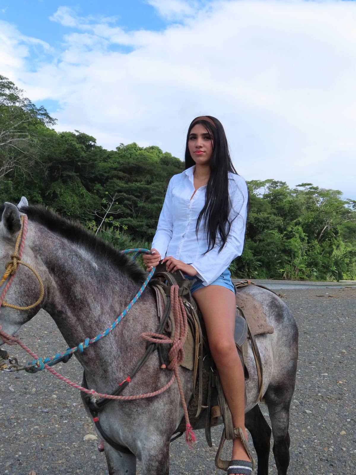 Costa Rican wildlife spotted on horseback tour